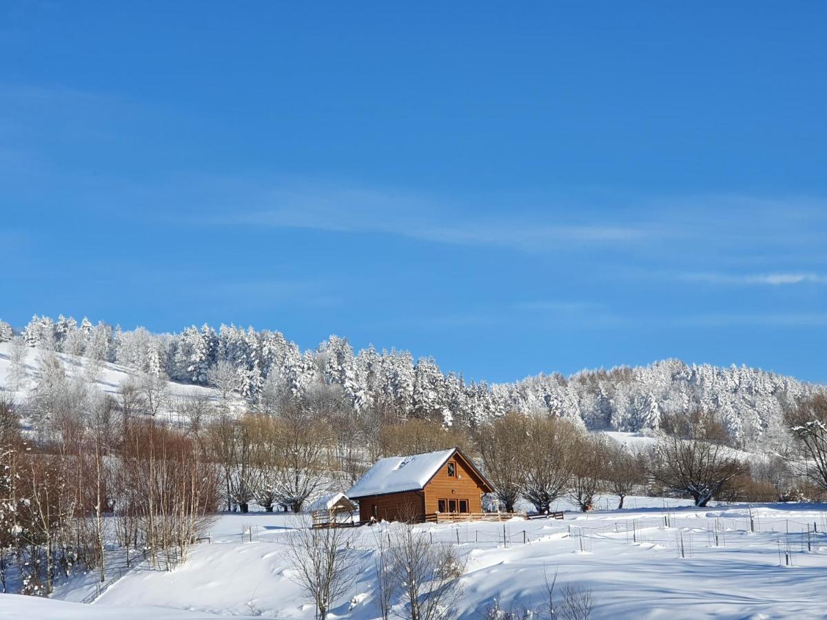 Raj Helmuta Villa Rabe  Exteriör bild